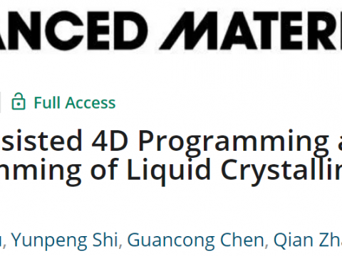 宾夕法尼亚大学杨澍教授AM：液晶网络&#8203;有机凝胶的4D编程和重编程