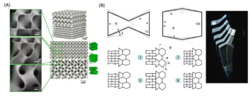 Elsevier_Study_2