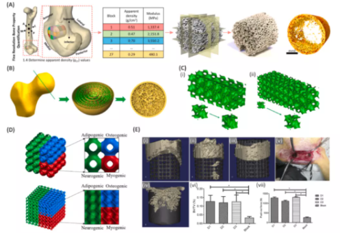 Elsevier_Study_1