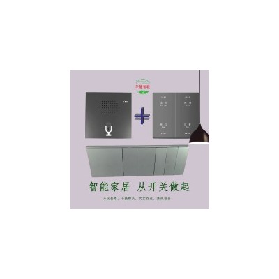 智能互控开关+智能语音开关+酒店开关+离线开关+开关面板图2