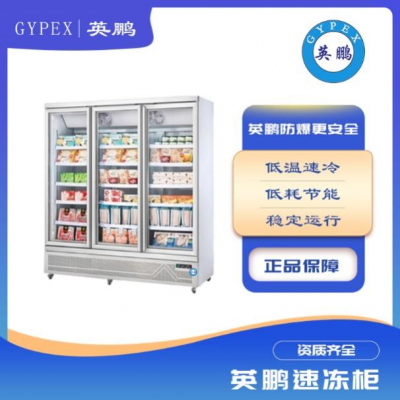 冷冻柜商用冷冻食品展示柜立式冰柜图3