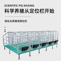 母猪复合定位栏 一组10个位可做连体不锈钢食槽