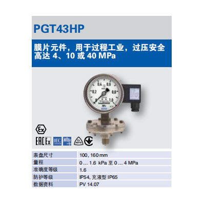 WIKA带电信号输出的压力表图3